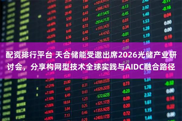 配资排行平台 天合储能受邀出席2026光储产业研讨会，分享构网型技术全球实践与AIDC融合路径