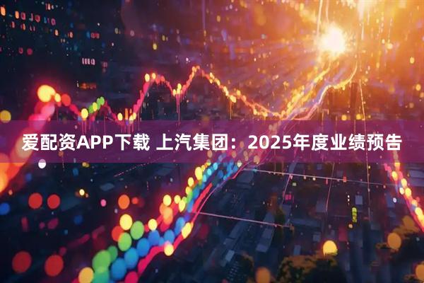 爱配资APP下载 上汽集团：2025年度业绩预告