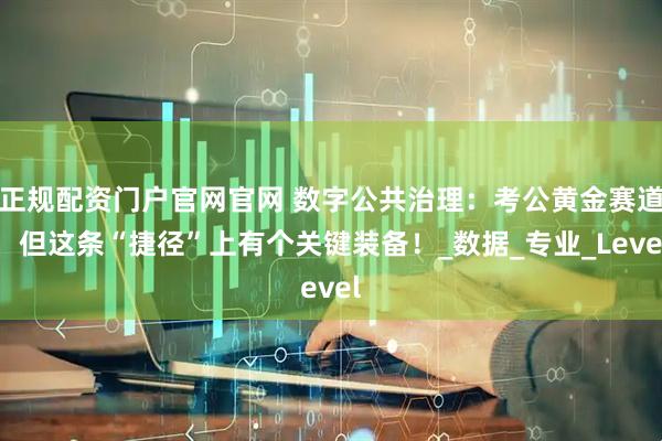 正规配资门户官网官网 数字公共治理：考公黄金赛道，但这条“捷径”上有个关键装备！_数据_专业_Level