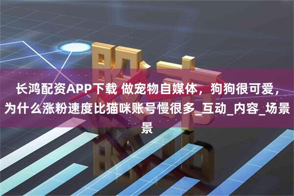 长鸿配资APP下载 做宠物自媒体，狗狗很可爱，为什么涨粉速度比猫咪账号慢很多_互动_内容_场景