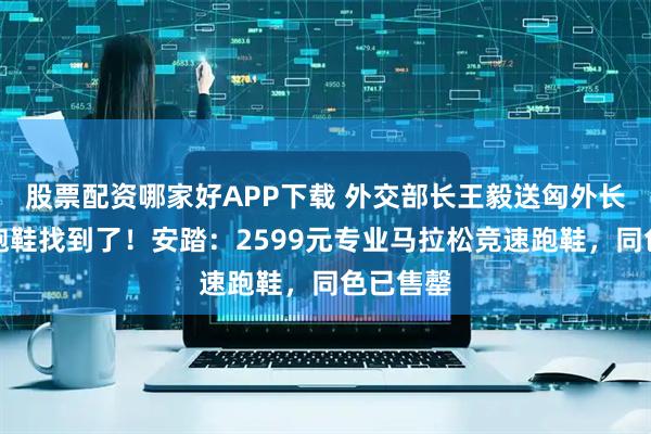 股票配资哪家好APP下载 外交部长王毅送匈外长的国产跑鞋找到了！安踏：2599元专业马拉松竞速跑鞋，同色已售罄